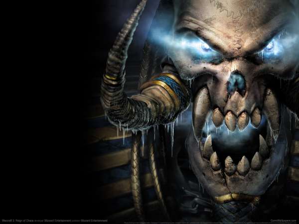 Warcraft 3: Reign of Chaos fond d'cran