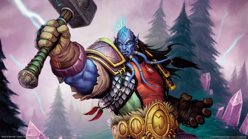 World of Warcraft: Trading Card Game fond d'cran