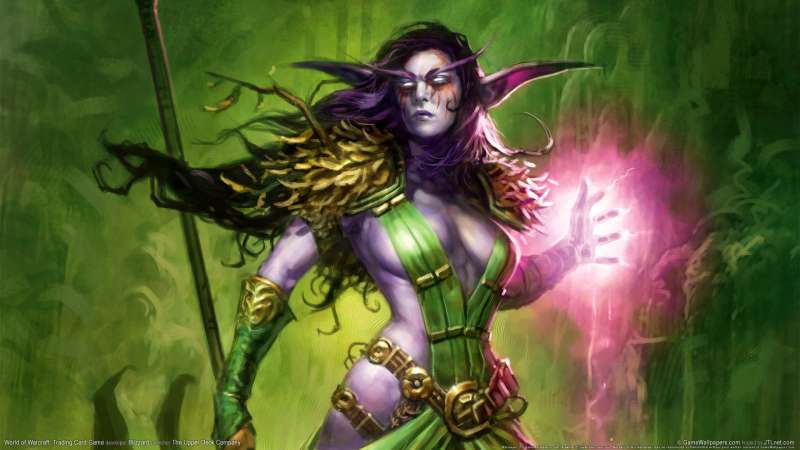 World of Warcraft: Trading Card Game fond d'cran