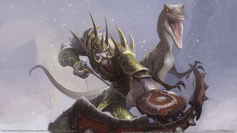 World of Warcraft: Trading Card Game fond d'cran