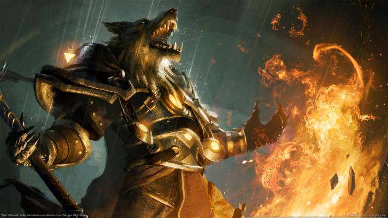 World of Warcraft: Trading Card Game fond d'cran