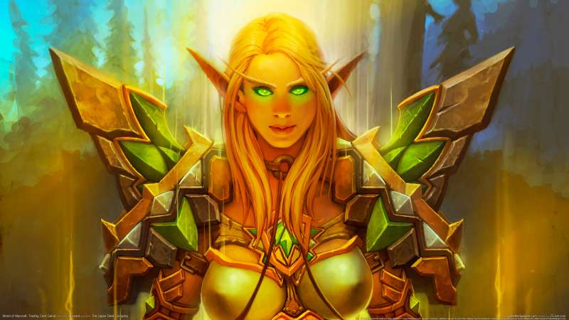 World of Warcraft: Trading Card Game fond d'cran