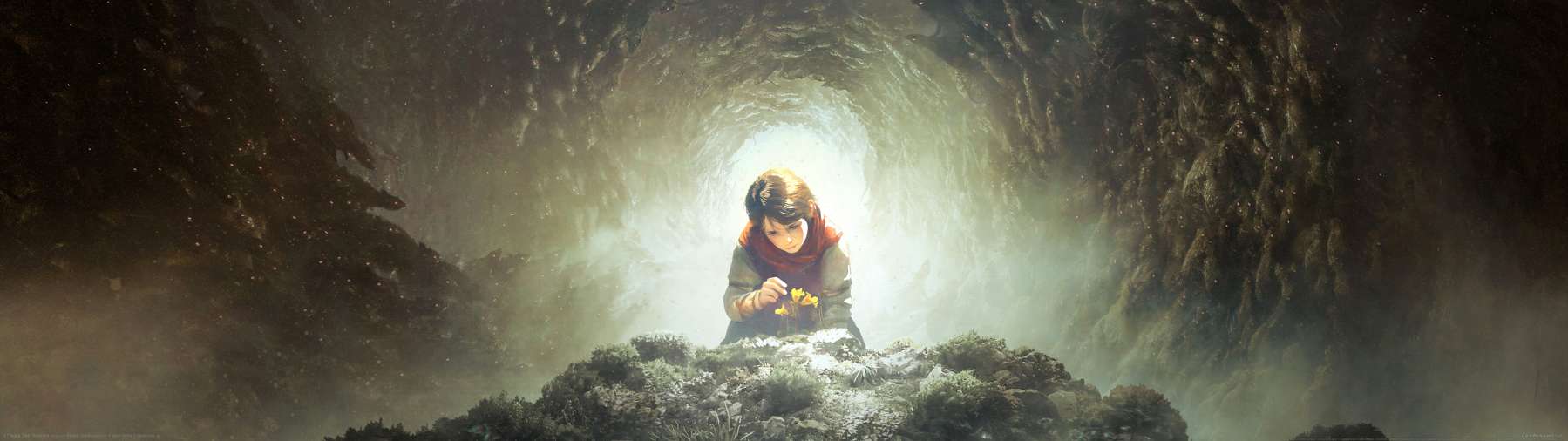 A Plague Tale: Requiem fond d'cran