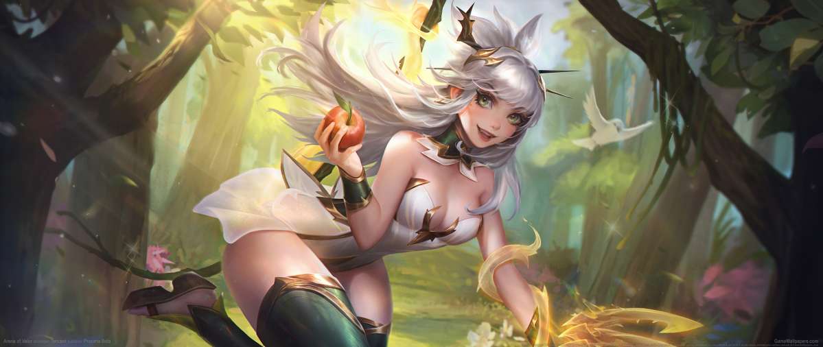 Arena of Valor fond d'�cran