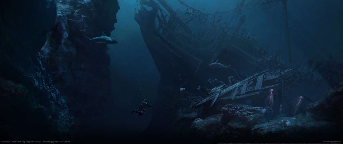 Assassin's Creed: Black Flag Resynced fond d'�cran