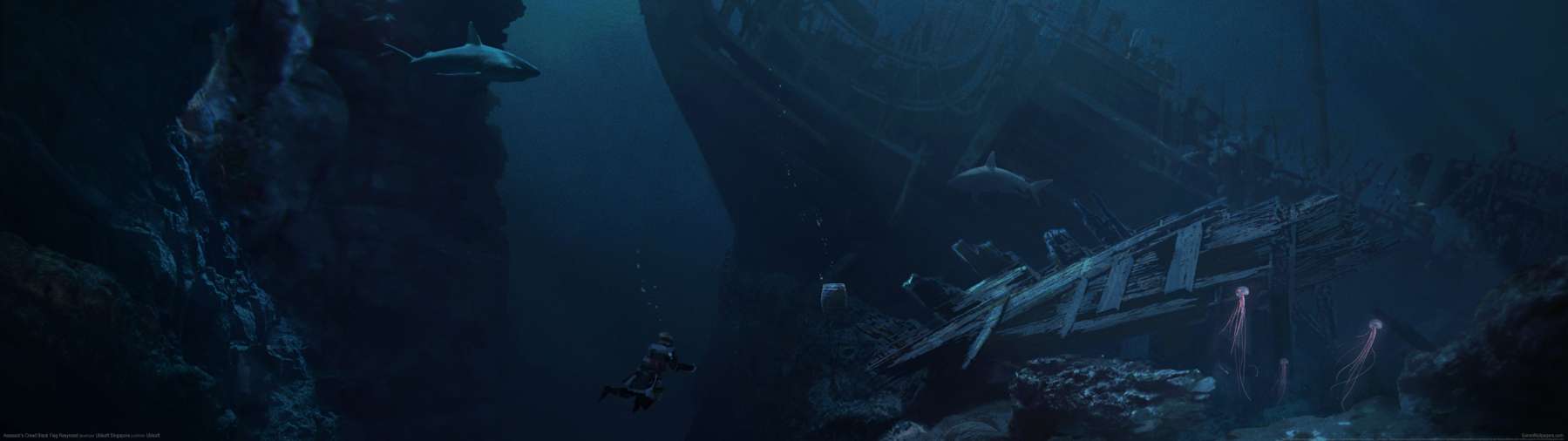 Assassin's Creed: Black Flag Resynced fond d'�cran