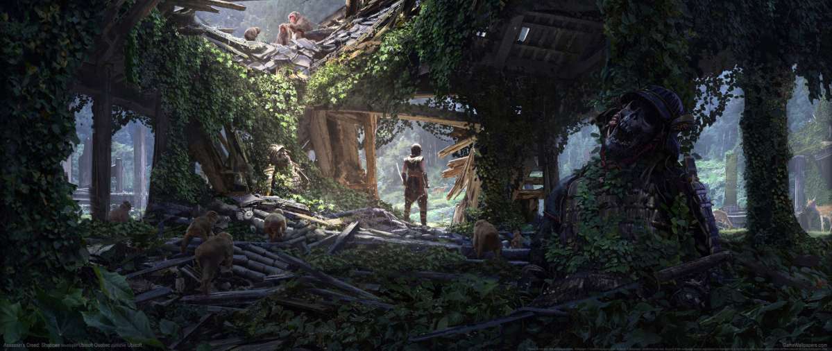 Assassin's Creed: Shadows ultrawide fond d'cran 08