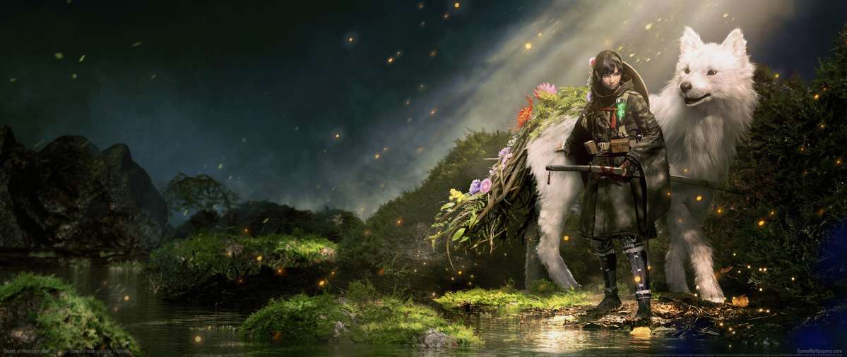 Beast of Reincarnation fond d'�cran