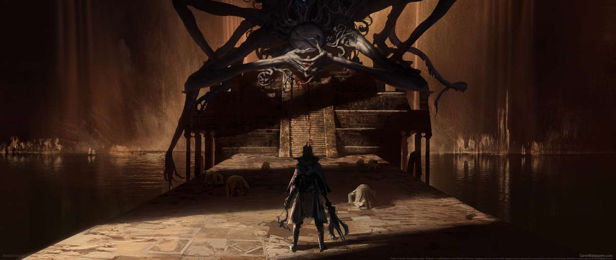 Bloodborne fan art fond d'cran