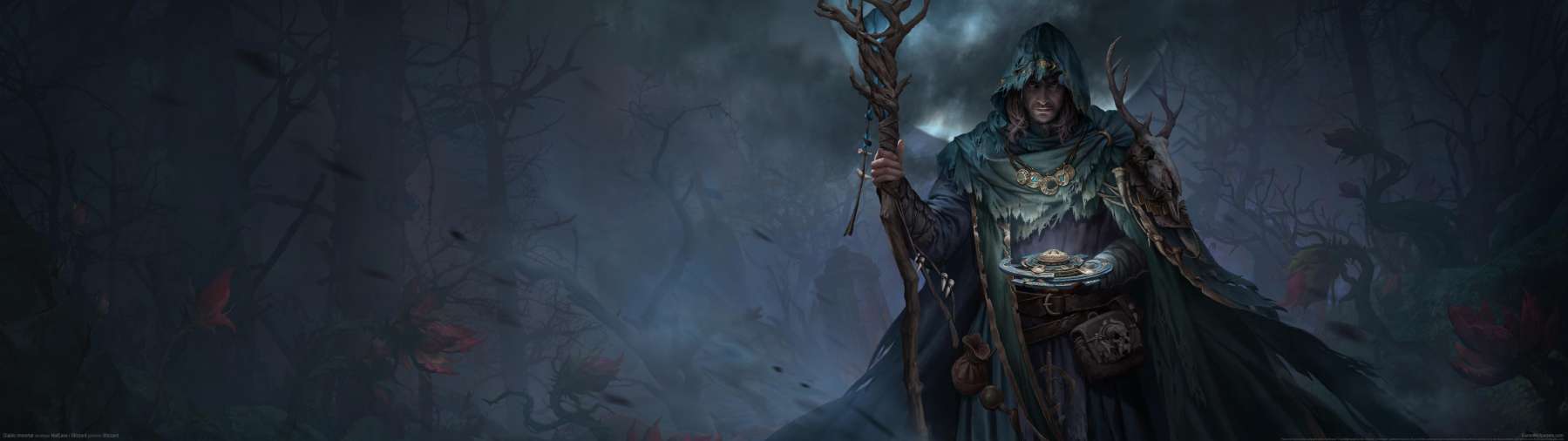 Diablo Immortal fond d'cran