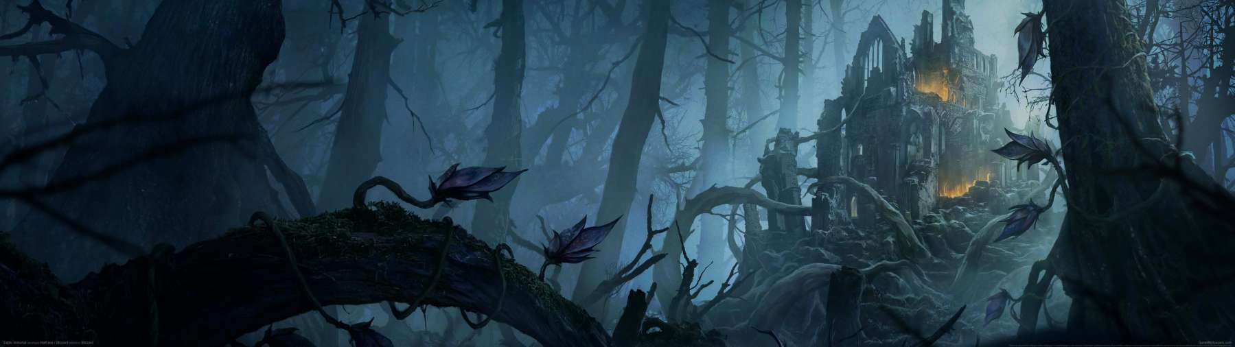 Diablo Immortal fond d'cran