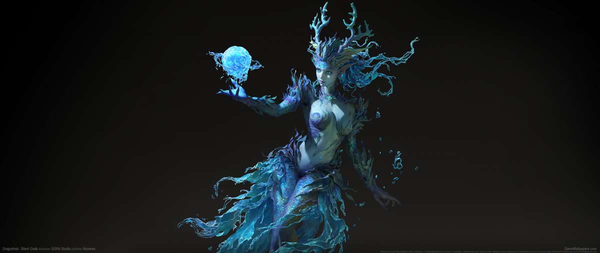Dragonheir: Silent Gods fond d'cran