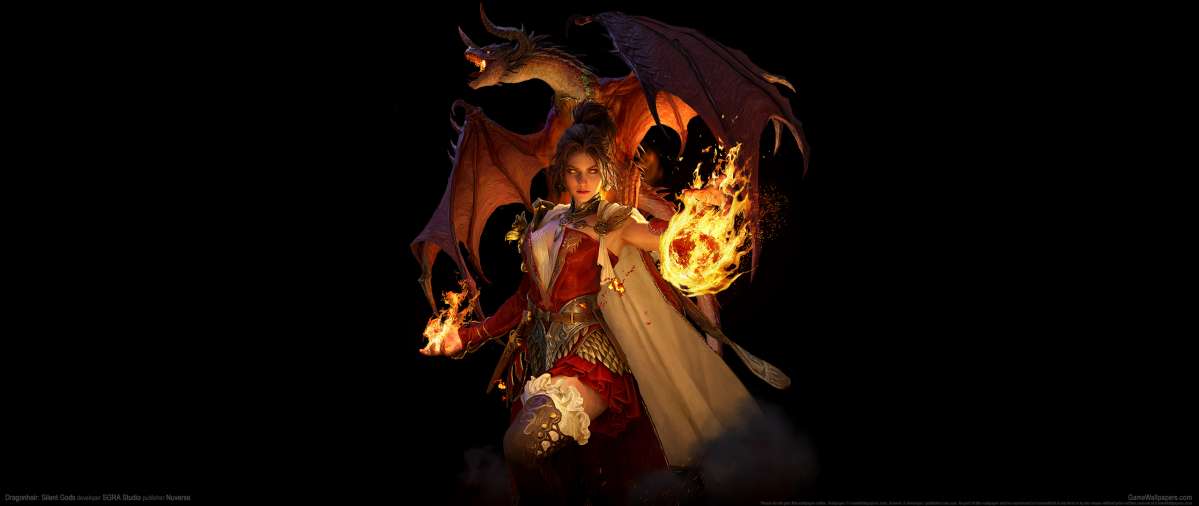 Dragonheir: Silent Gods fond d'cran
