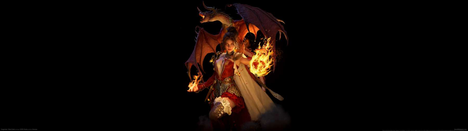 Dragonheir: Silent Gods fond d'cran