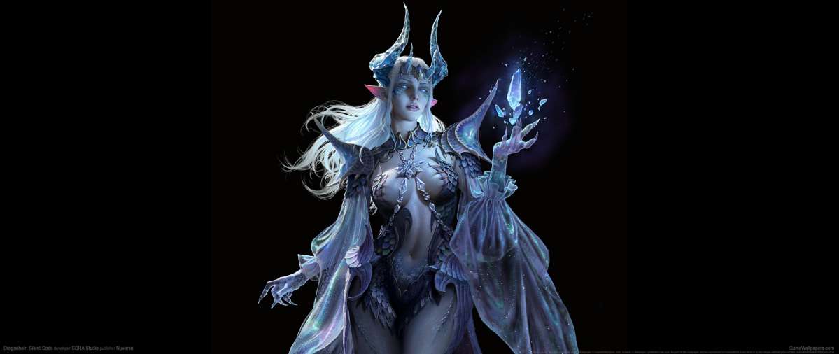 Dragonheir: Silent Gods fond d'cran