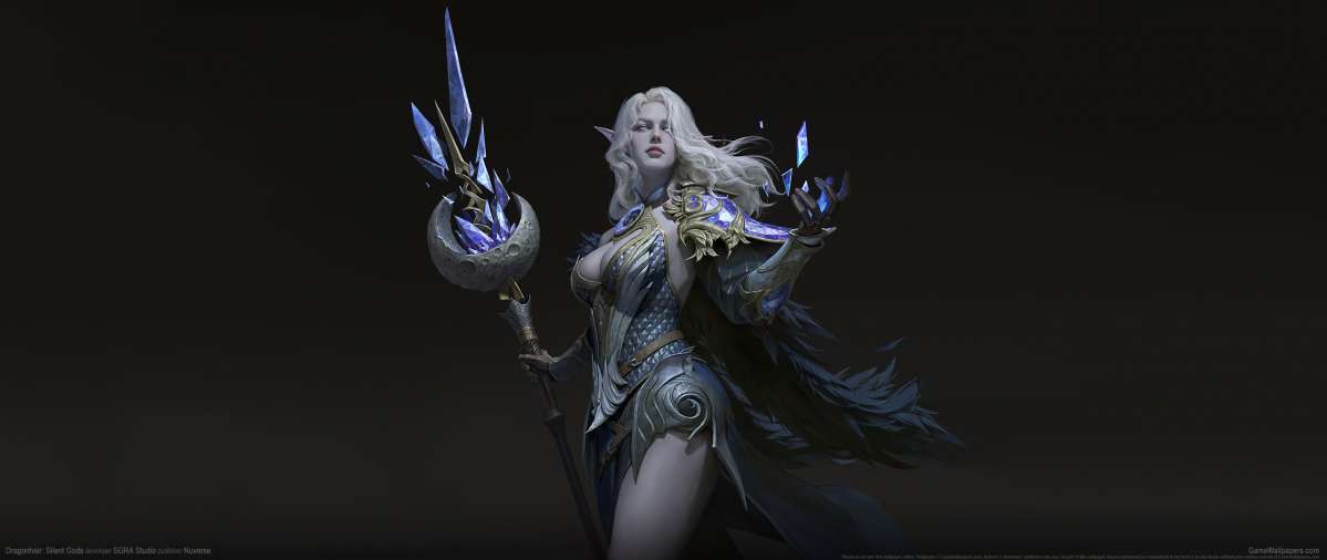 Dragonheir: Silent Gods fond d'�cran