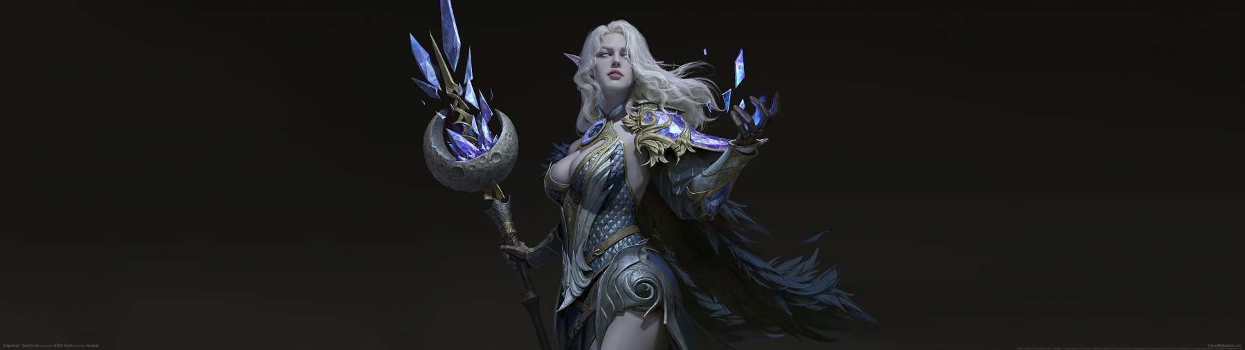 Dragonheir: Silent Gods fond d'�cran