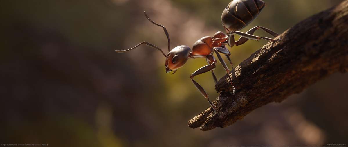 Empire of the Ants fond d'cran