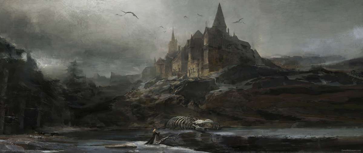 Hogwarts Legacy fond d'cran