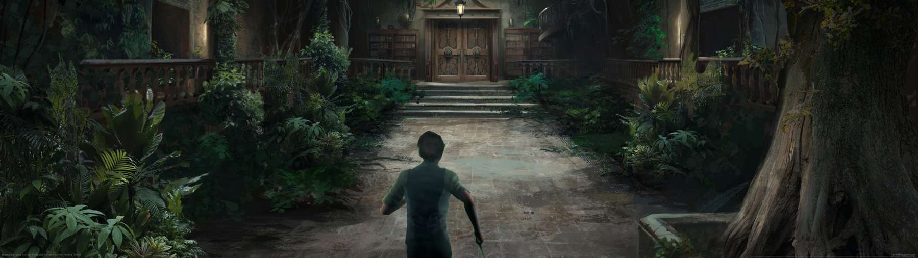 Hogwarts Legacy fond d'cran