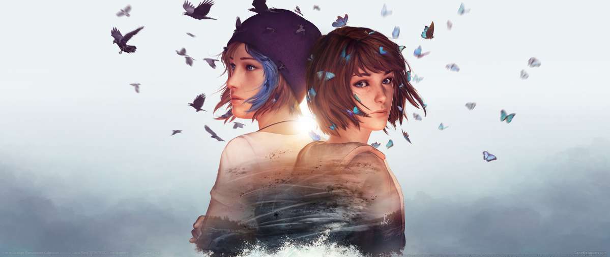 Life is Strange Remastered Collection fond d'cran