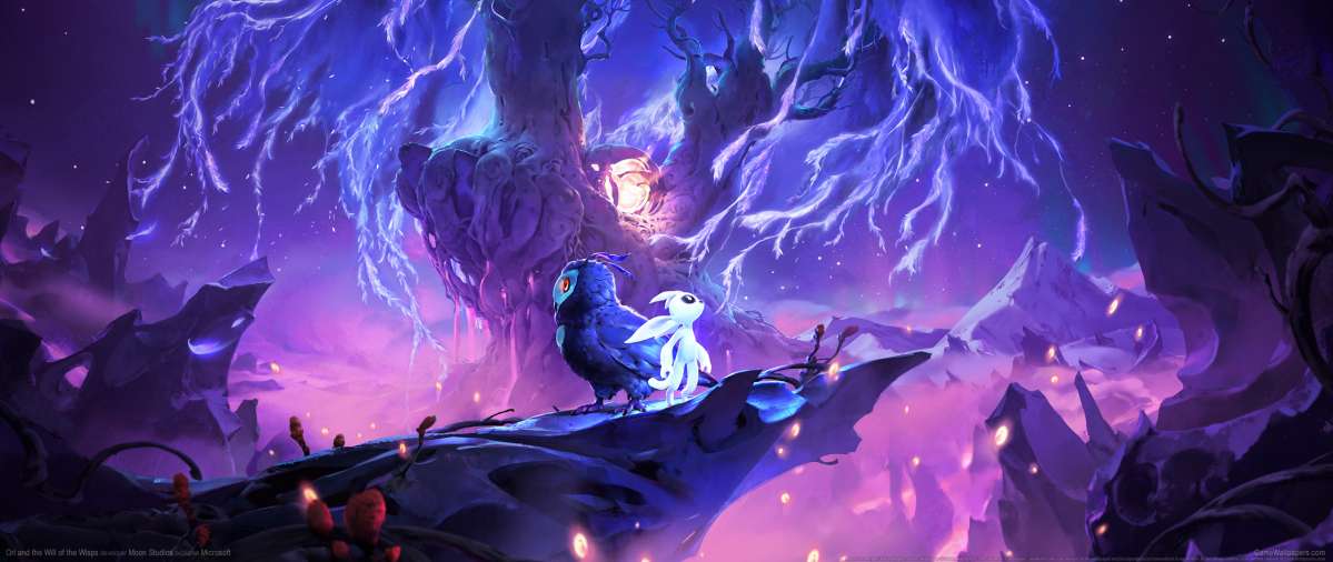 Ori and the Will of Wisps ultrawide fond d'cran 02