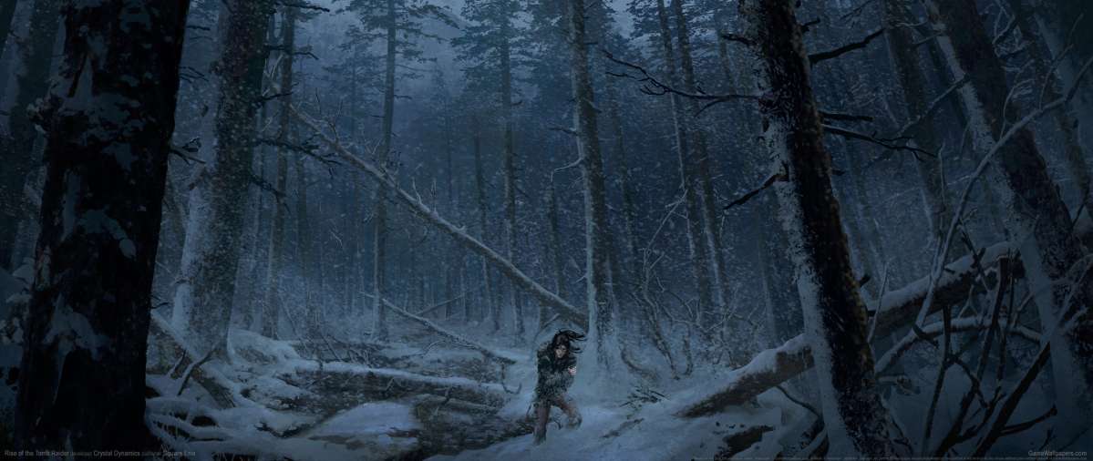 Rise of the Tomb Raider fond d'cran