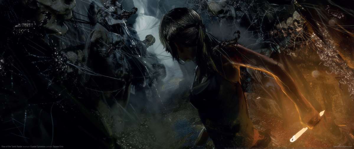 Rise of the Tomb Raider fond d'cran