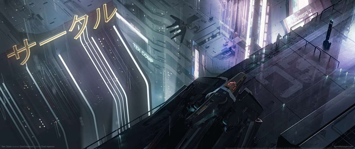 Star Citizen fond d'cran