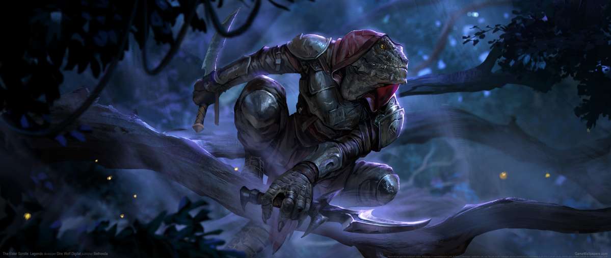 The Elder Scrolls: Legends ultrawide fond d'cran 01