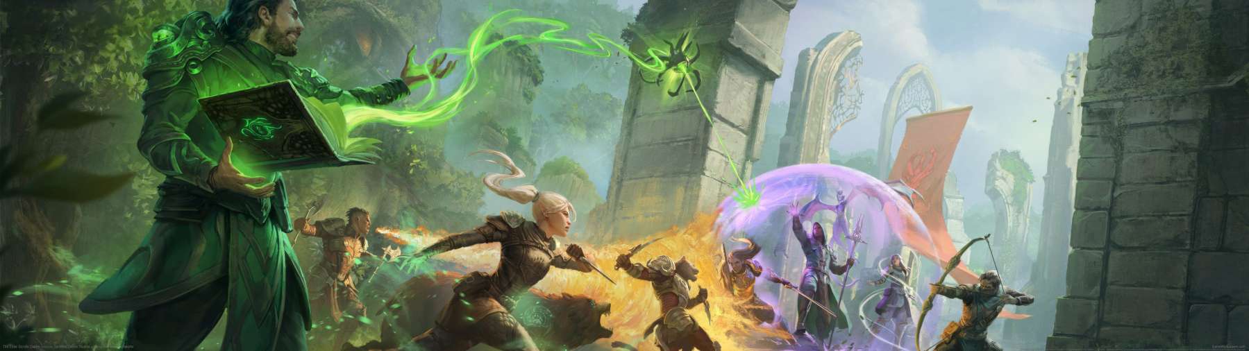 The Elder Scrolls Online fond d'cran
