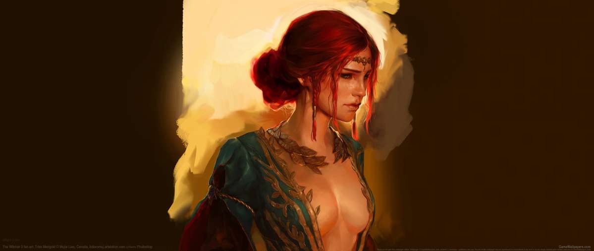 The Witcher 3 fan art ultrawide fond d'cran 02