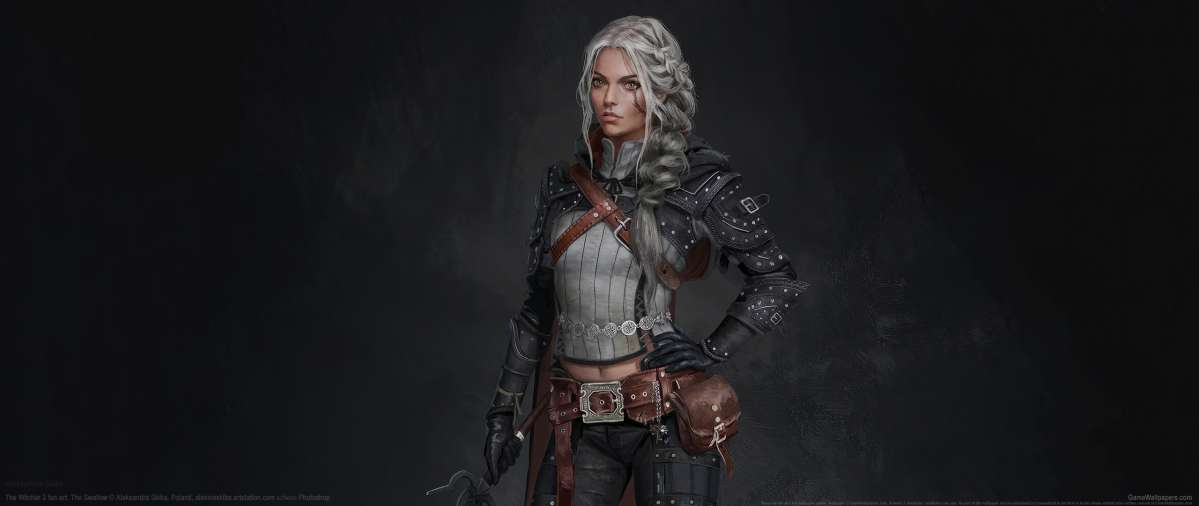 The Witcher 3 fan art fond d'cran