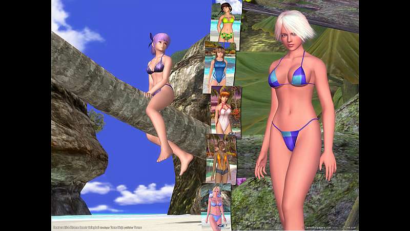 Dead or Alive Xtreme Beach Volleyball fond d'cran