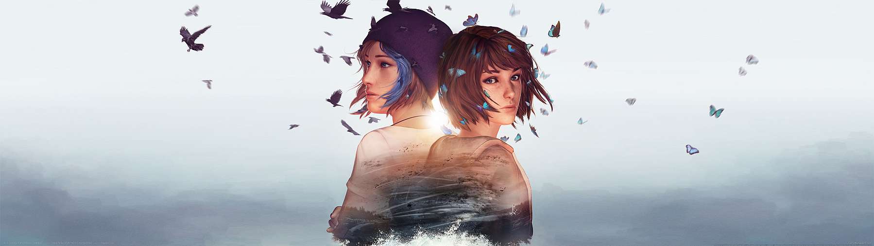 Life is Strange Remastered Collection fond d'cran