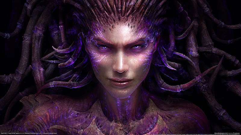 StarCraft 2: Heart of the Swarm fond d'écran