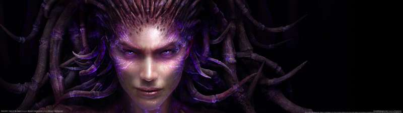 StarCraft 2: Heart of the Swarm dual screen fond d'cran