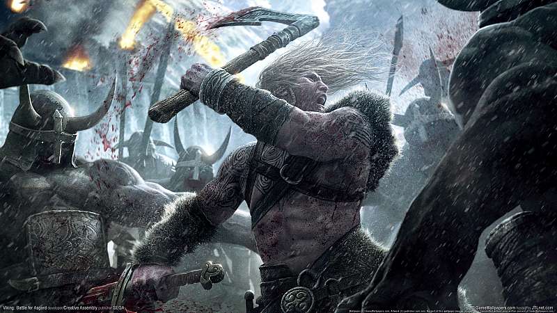 Viking: Battle for Asgard fond d'cran